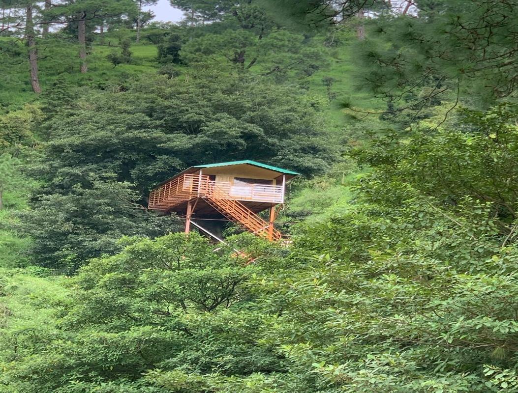 The Cocoon Camps & Nature Resorts Nainital Extérieur photo