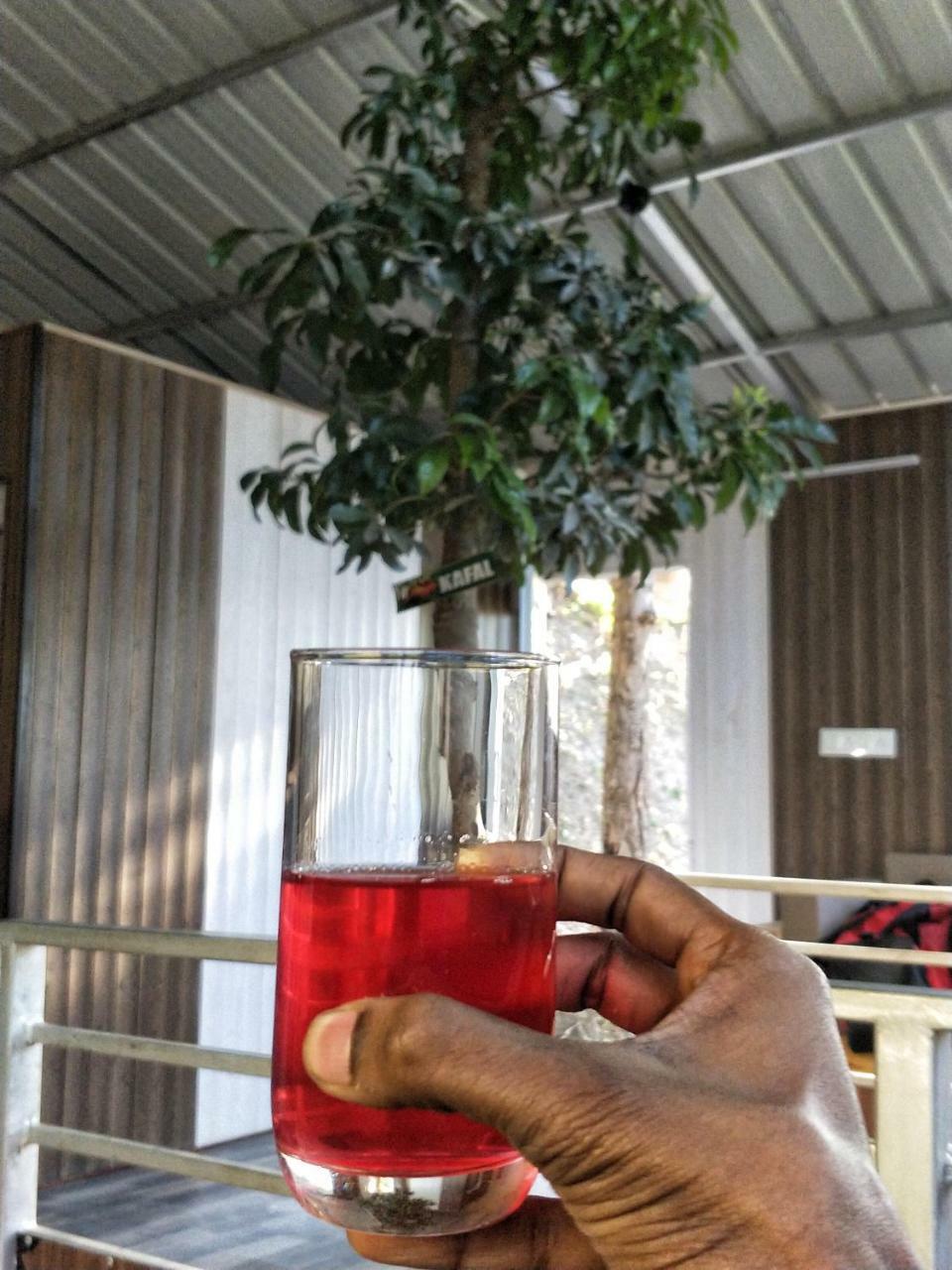 The Cocoon Camps & Nature Resorts Nainital Extérieur photo